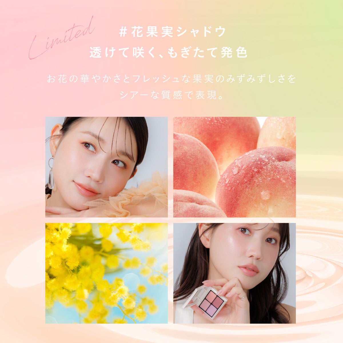 【5/13(水)お昼12:00より先行販売開始！】花果実シャドウ 105ラベンダーベリー